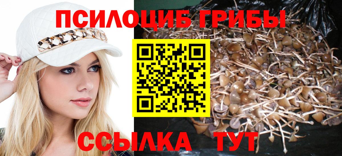 Псилоцибиновые грибы прущие грибы  Вход с VPN  купить наркотик  Усть-Кут 