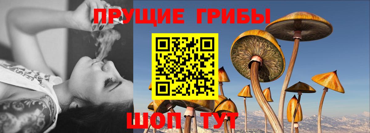 Галлюциногенные грибы Cubensis Усть-Кут